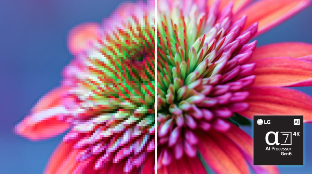 Smart Tivi LG 4K QNED 65 inch 65QNED80SRA với bộ xử lý A7 Gen6 4k Ai